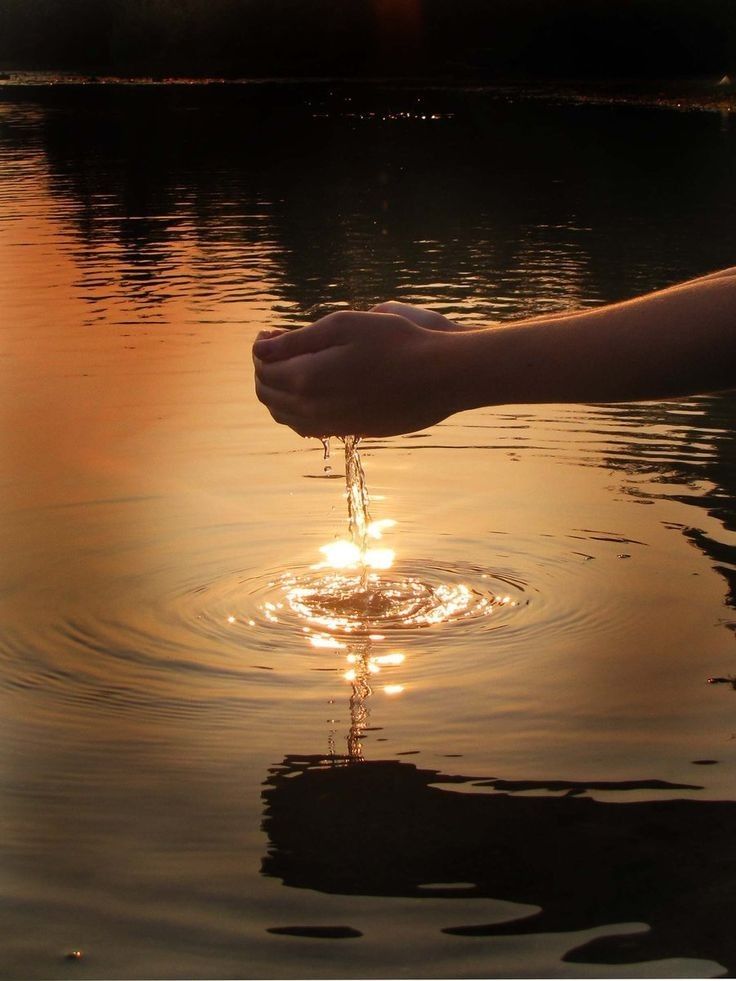 Volver a ti: saliendo de la codependencia