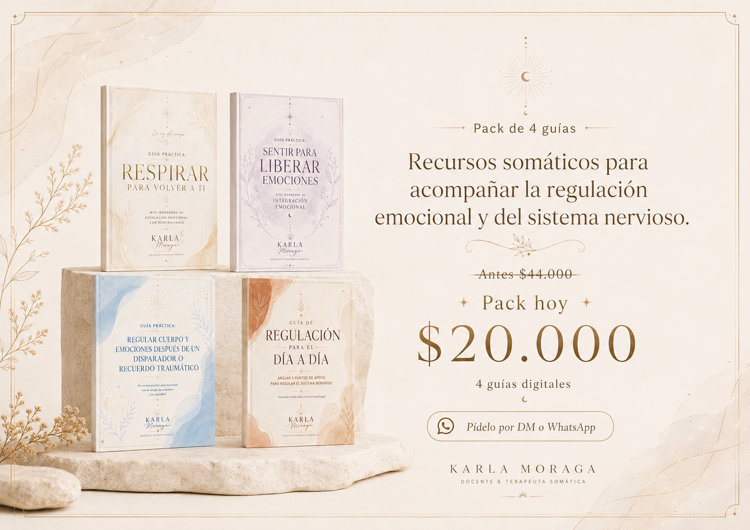 Pack de 4 guías somáticas